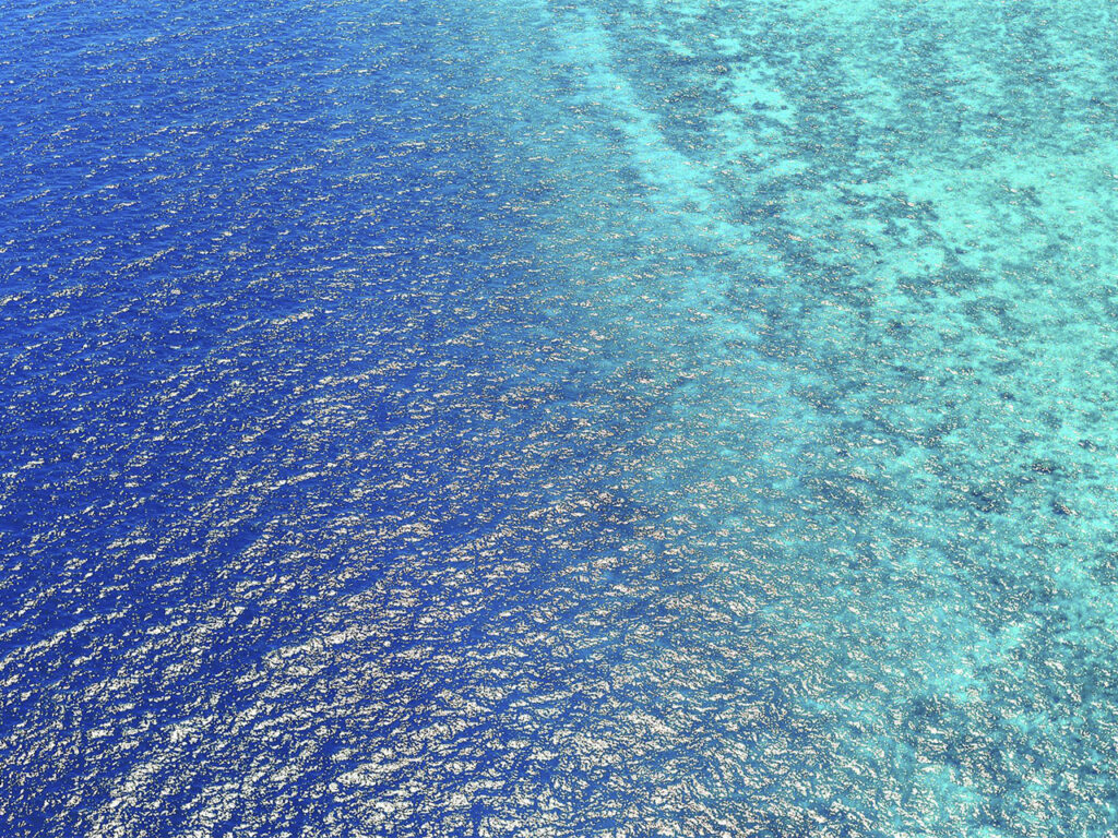 el mar en el dia de la alegría